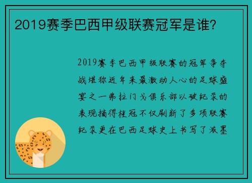 2019赛季巴西甲级联赛冠军是谁？