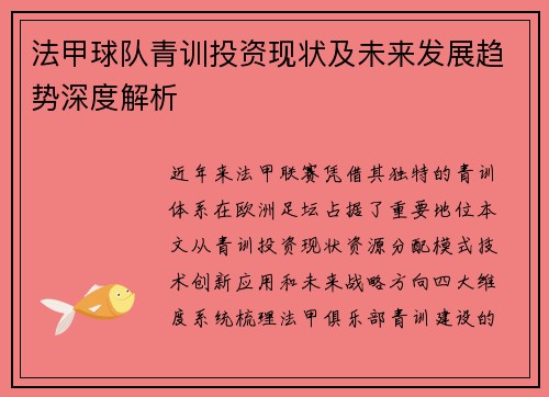 法甲球队青训投资现状及未来发展趋势深度解析
