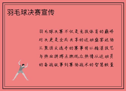 羽毛球决赛宣传