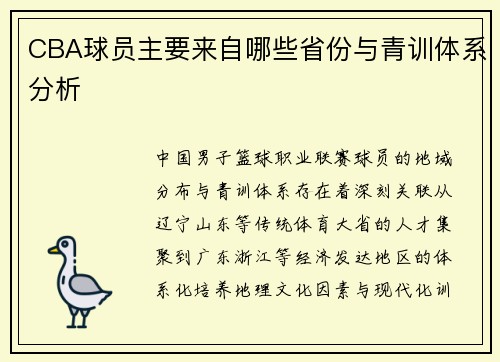 CBA球员主要来自哪些省份与青训体系分析